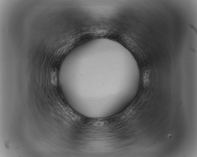 X0000100851204200807111207