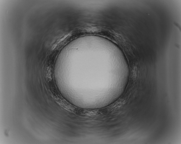 X0000100851205200807111207