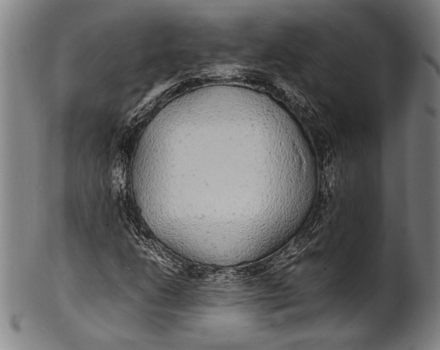 X0000100851206200807111207