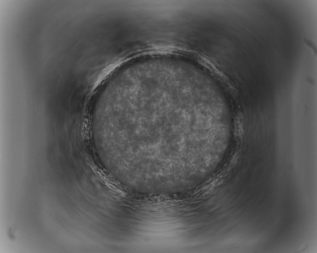 X0000100851208200807111207