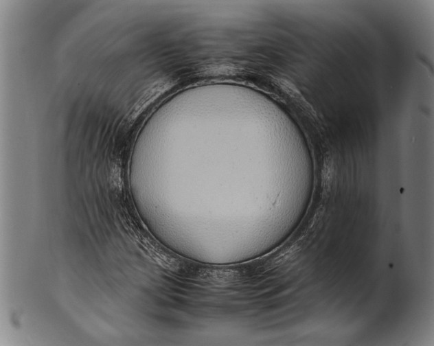 X0000100851209200807111207