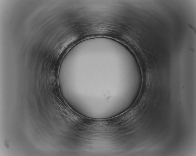 X0000100851210200807111207