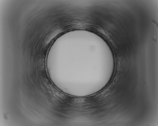 X0000100851211200807111207