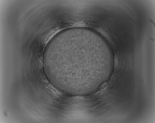 X0000100851212200807111207