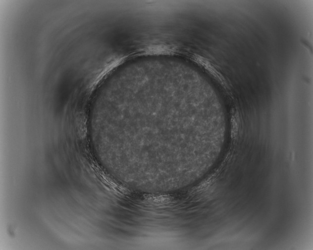 X0000100851213200807111207