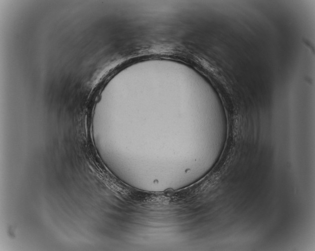 X0000100851214200807111207