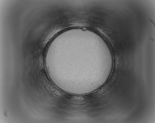 X0000100851215200807111207