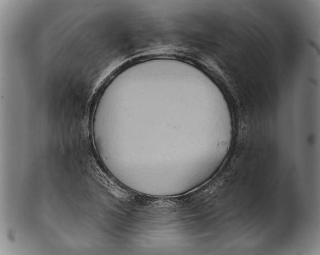 X0000100851216200807111207