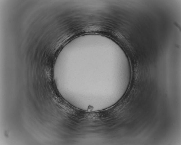 X0000100851217200807111207