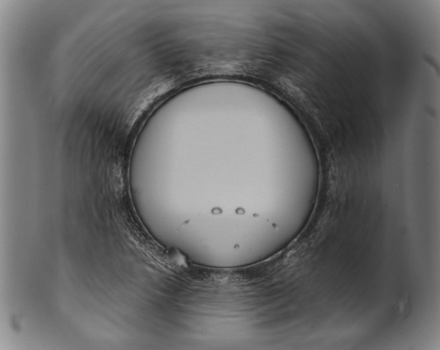 X0000100851218200807111207