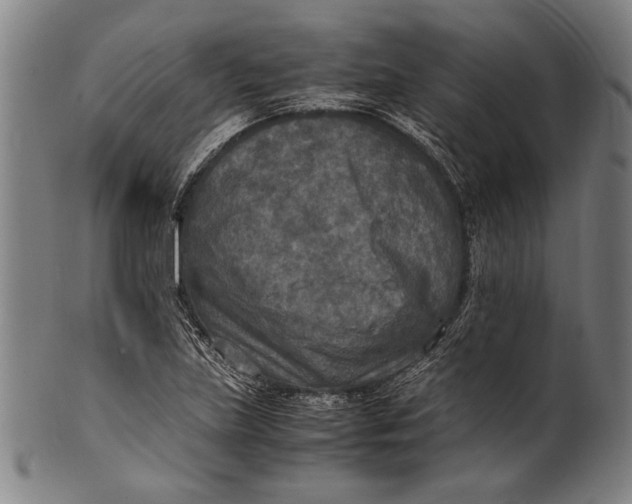 X0000100851219200807111207