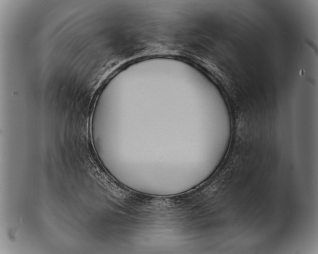 X0000100851220200807111207