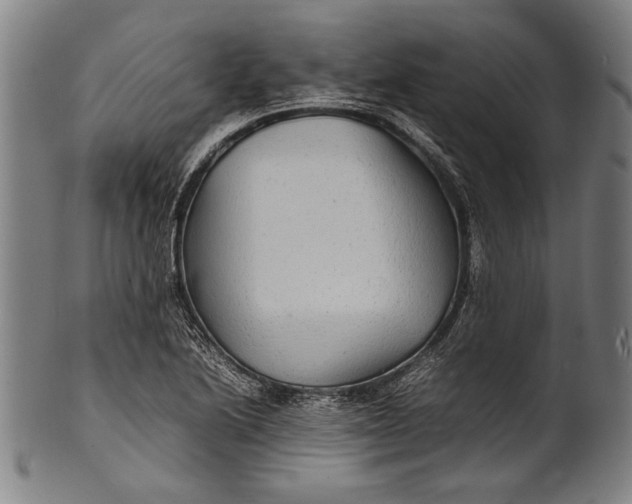 X0000100851222200807111207