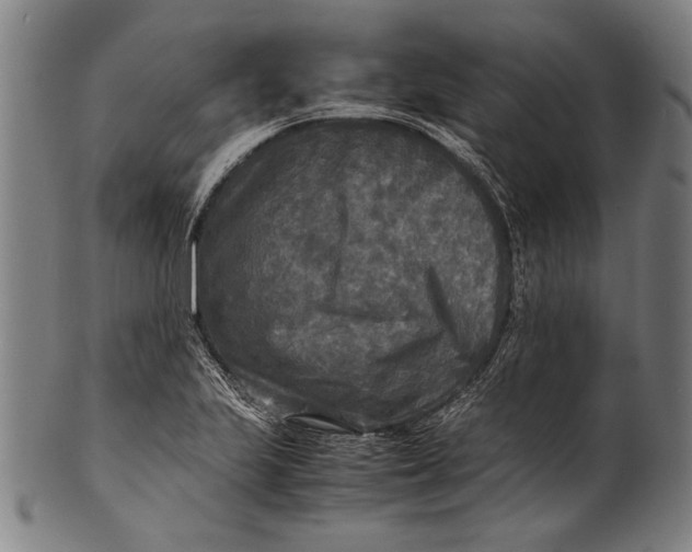 X0000100851223200807111207