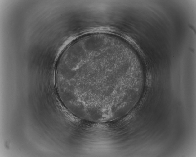 X0000100851224200807111207