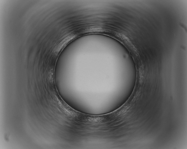 X0000100851225200807111207