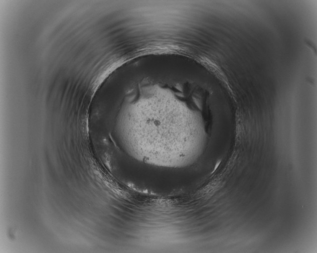 X0000100851226200807111207