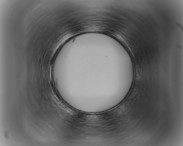 X0000100851227200807111207