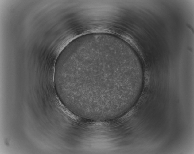 X0000100851228200807111208