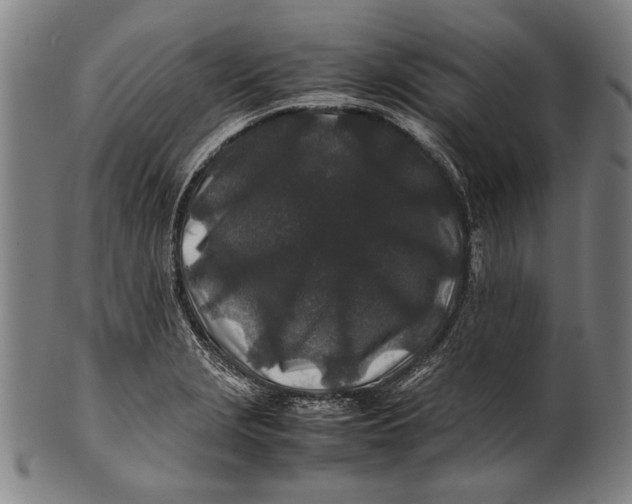 X0000100851229200807111208