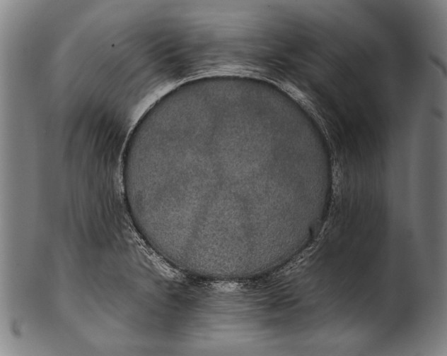 X0000100851230200807111208