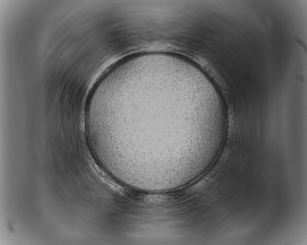 X0000100851232200807111208