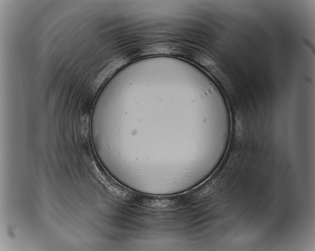 X0000100851233200807111208