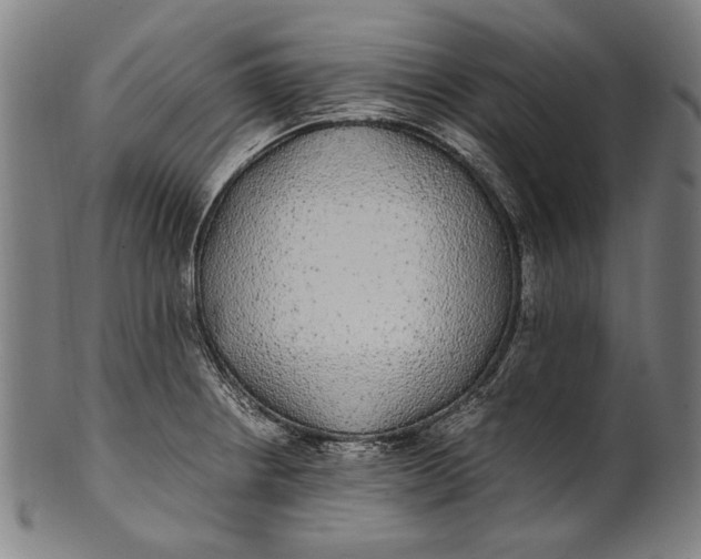 X0000100851234200807111208