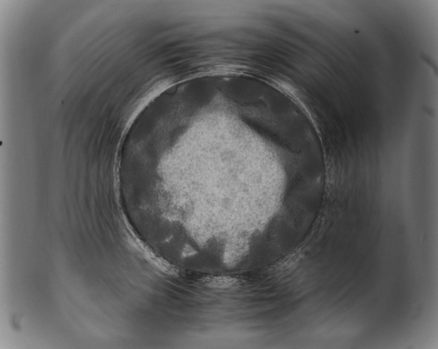 X0000100851235200807111208