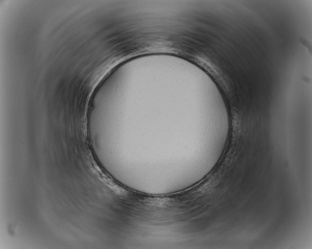 X0000100851236200807111208