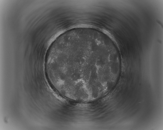 X0000100851237200807111208