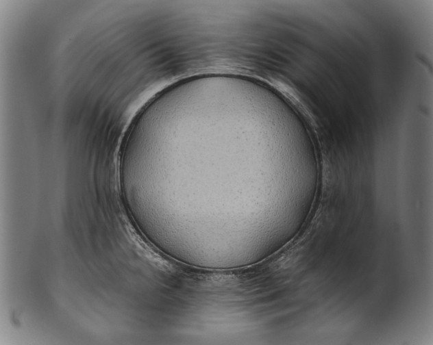 X0000100851238200807111208