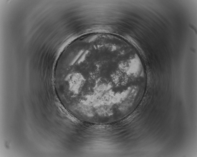 X0000100851240200807111208