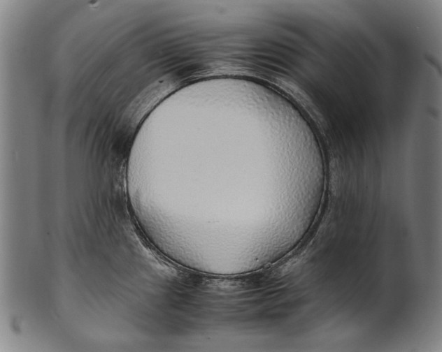 X0000100851241200807111208