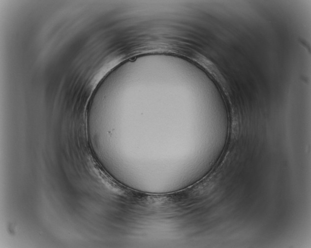 X0000100851242200807111208