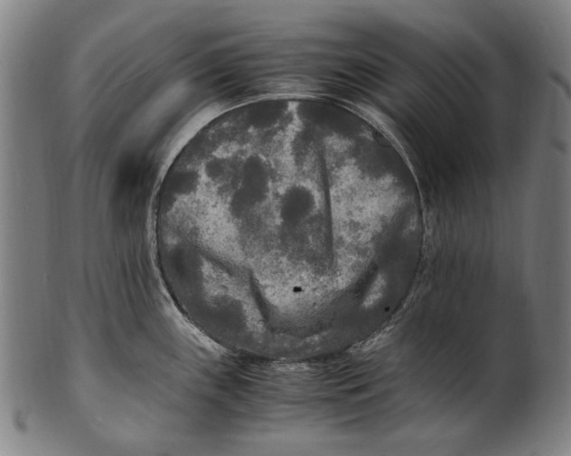 X0000100851243200807111208