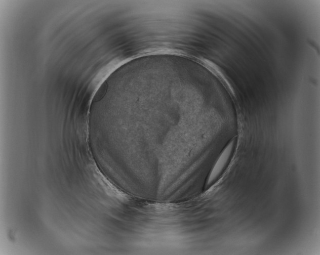 X0000100851244200807111208