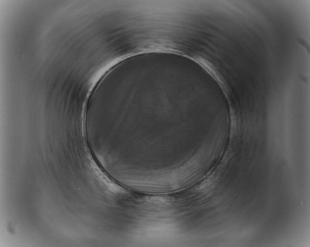 X0000100851246200807111208