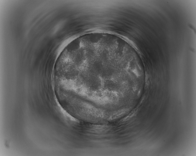 X0000100851247200807111208