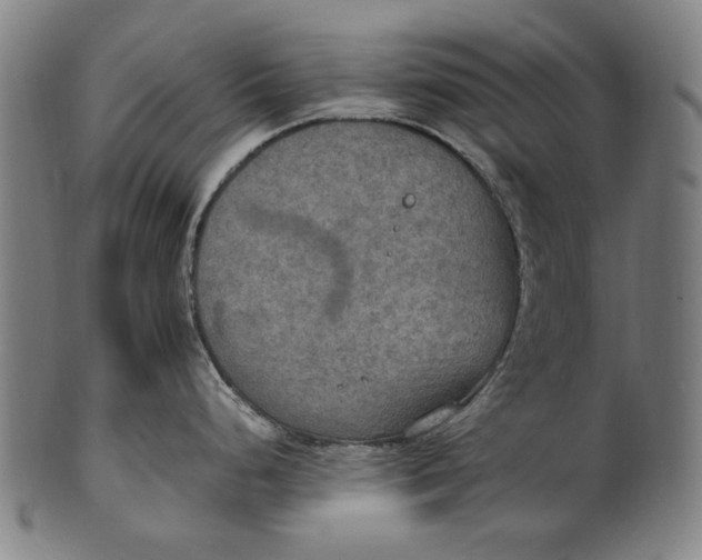 X0000100851248200807111208