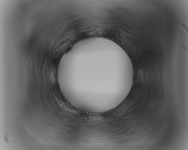 X0000100851250200807111207