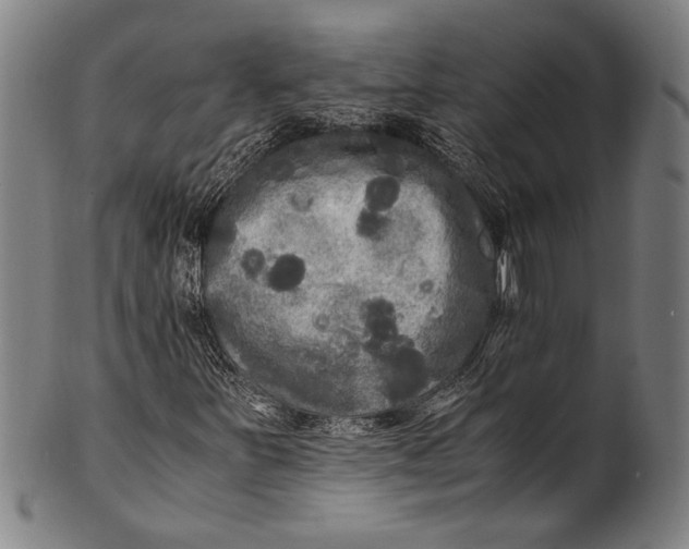 X0000100851251200807111207