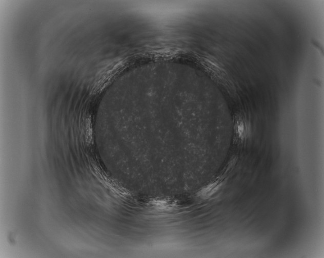 X0000100851252200807111207