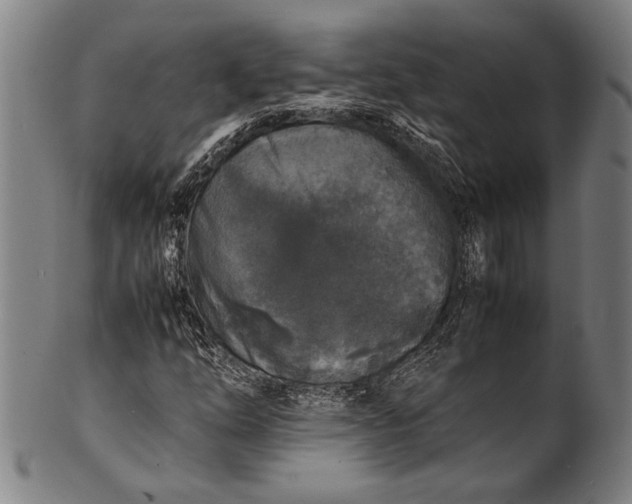 X0000100851254200807111207