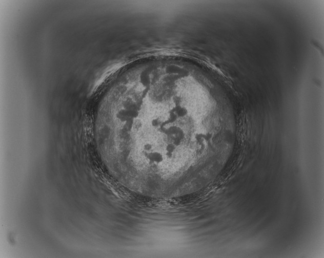 X0000100851255200807111207