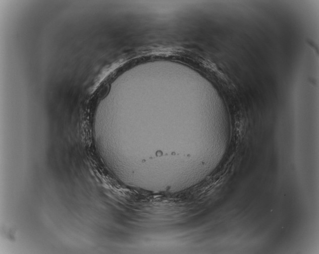 X0000100851256200807111207