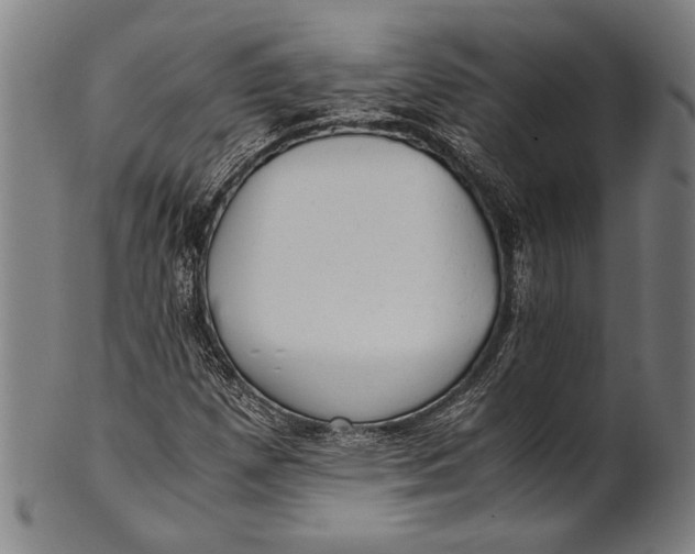 X0000100851257200807111207