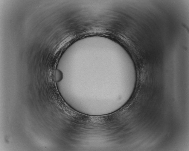 X0000100851258200807111207