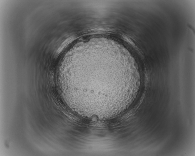 X0000100851259200807111207