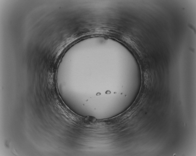 X0000100851260200807111207